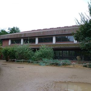 Giraffe house -Tierpark Berlin (2024)