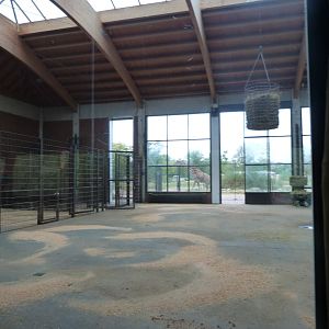 Giraffe house -Tierpark Berlin (2024)