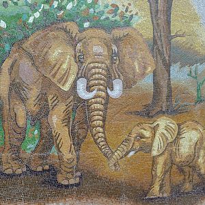 Elephant house mural -Tierpark Berlin (2024)