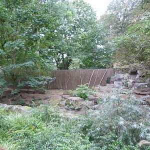 East African banded mongoose exhibit -Tierpark Berlin (2024)