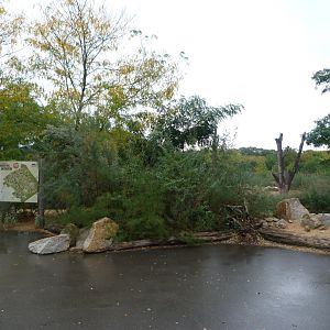 New savanna area -Tierpark Berlin (2024)