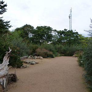 New savanna area -Tierpark Berlin (2024)