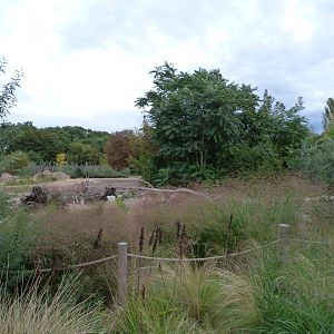 Main savanna exhibit -Tierpark Berlin (2024)