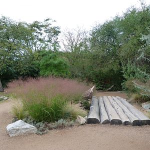 New savanna area -Tierpark Berlin (2024)