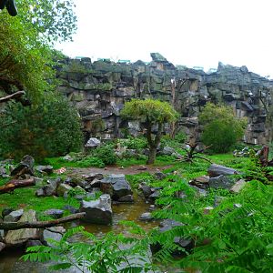 Vulture aviary -Tierpark Berlin (2024)
