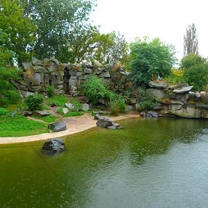 African penguin exhibit -Tierpark Berlin (2024)