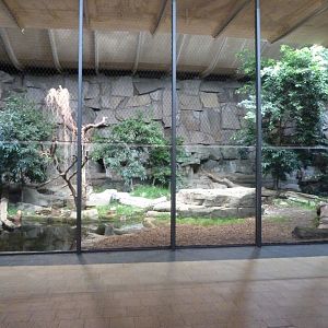 Sumatran tiger exhibit -Tierpark Berlin (2024)