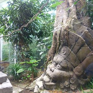 King cobra exhibit -Tierpark Berlin (2024)