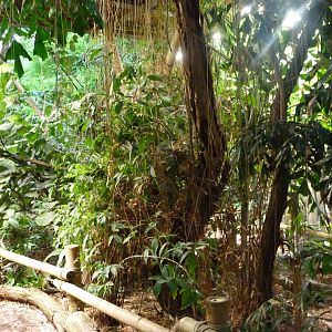 "Alfred-Brehm-Haus" greenhouse -Tierpark Berlin (2024)