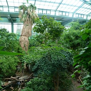"Alfred-Brehm-Haus" greenhouse -Tierpark Berlin (2024)