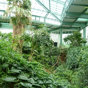 "Alfred-Brehm-Haus" greenhouse -Tierpark Berlin (2024)