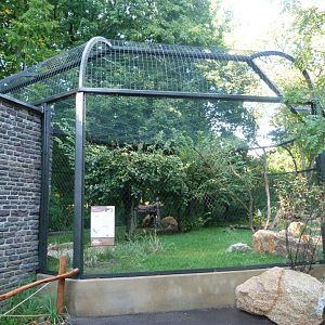 Secretary bird exhibit -Tierpark Berlin (2024)