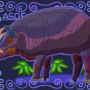 Babirusa