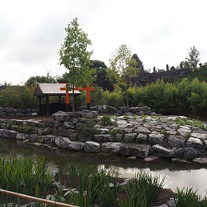 Islands of the Rising Sun - Shikoku - Section of the water buffalo exhibit, 2024-09-17