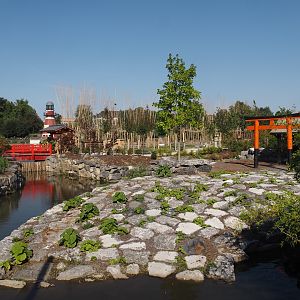 Islands of the Rising Sun - Shikoku - Section of the water buffalo exhibit, 2024-09-17