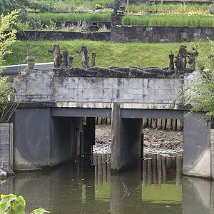 Bridge and tunnel between section of the water buffalo exhibit, 2024-09-17