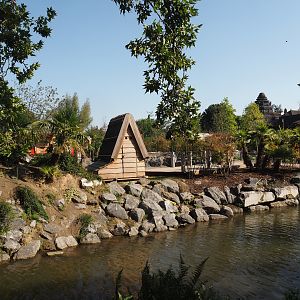 Islands of the Rising Sun - Kyushu - Walk-through exhibit with Onagadori chickens and African spurred tortoises, 2024-09-17