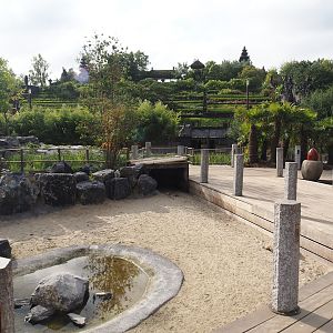 Islands of the Rising Sun - Kyushu - Walk-through exhibit with Onagadori chickens and African spurred tortoises, 2024-09-17