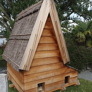 Islands of the Rising Sun - Kyushu - Onagadori chicken coop, 2024-09-17