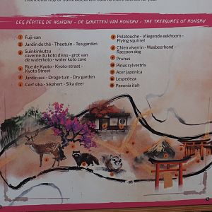 Islands of the Rising Sun - Honshu - Signage for area  with deer, raccoon dogs and Japanese garden, detail of map, 2024-09-17