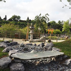 Islands of the Rising Sun - Honshu - Landscaping in Japanese sika deer walk-through exhibit, 2024-09-17