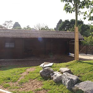 Islands of the Rising Sun - Honshu - Japanese sika deer shelter, 2024-09-17