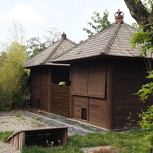 Islands of the Rising Sun - Honshu - White raccoon dog huts, 2024-09-17