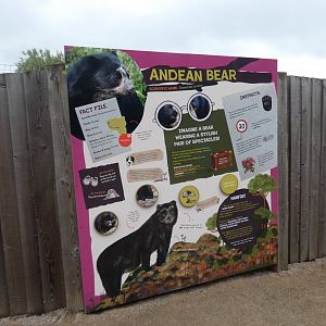 Spectacled bear signage