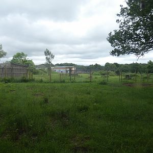 Spectacled bear enclosure side-view