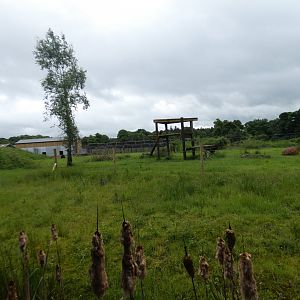 Spectacled bear enclosure