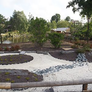 Islands of the Rising Sun - Honshu - Japanese garden, 2024-09-17