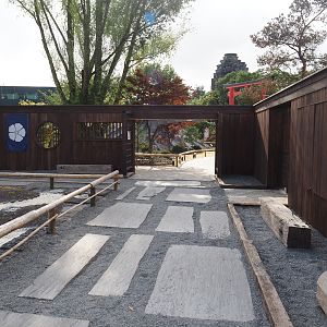 Islands of the Rising Sun - Honshu - Japanese garden, 2024-09-17