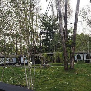 Islands of the Rising Sun - Hokkaido - Red-crowned crane exhibit, 2024-09-17