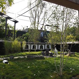 Islands of the Rising Sun - Hokkaido - Red-crowned crane exhibit and Siamang structures, 2024-09-17