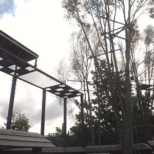 Islands of the Rising Sun - Hokkaido - Siamang structures, 2024-09-17