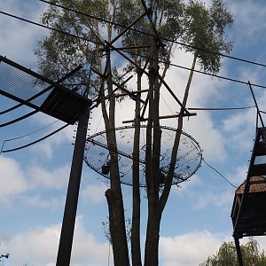 Islands of the Rising Sun - Hokkaido - Siamang structures, 2024-09-17