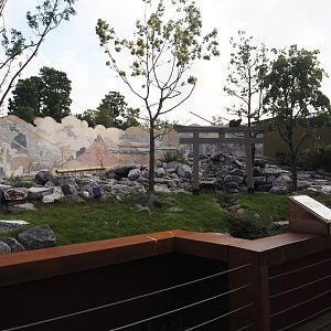 Islands of the Rising Sun - Hokkaido - Second Japanese macaque exhibit, 2024-09-17