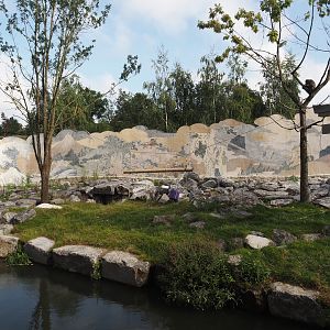 Islands of the Rising Sun - Hokkaido - Second Japanese macaque exhibit, 2024-09-17