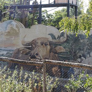 Islands of the Rising Sun - Hokkaido - Picture wall around Japanese macaque exhibit, seen from Australian area, 2024-09-17