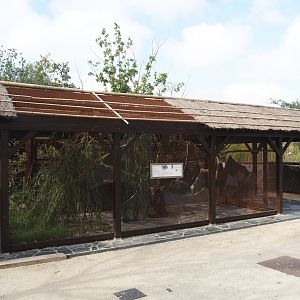 Islands of the Rising Sun - Honshu - Siberian flying squirrel exhibit, 2024-09-17