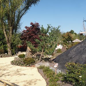Islands of the Rising Sun - Honshu - Japanese garden with Mount Fuji representation, 2024-09-17