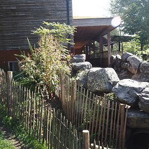 Tunnel for Brown Dorcopsis to second outdoor exhibit, under access to Marsupial and Koala house outdoor viewing area, 2024-09-17