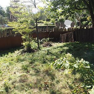 Hermann's tortoise exhibit next to Marsupial and Koala house, 2024-09-17