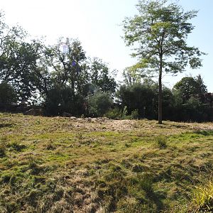 Former African bush elephant paddock, now home to Common eland and Common impala, 2024-09-17