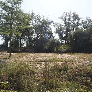 Former African bush elephant paddock, now home to Common eland and Common impala, 2024-09-17