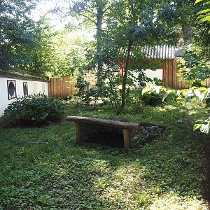 Corsac fox exhibit, 2024-09-17