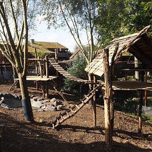 Future raccoon and otter exhibit built on split-off section of the reindeer exhibit, 2024-09-17