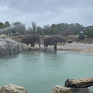 Jati and Yasmin at Elephant Trek Pool