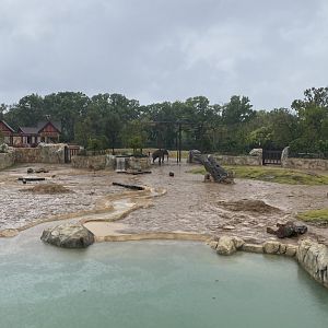 Sabu and Main Elephant Yard