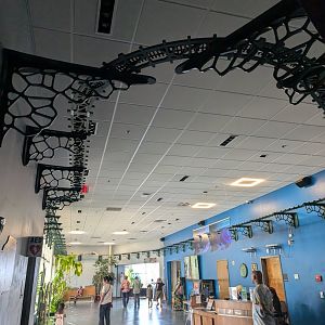 NEW model train track